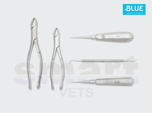 [KODB] BASIC DENTAL KIT