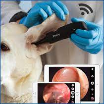 [DE571] Firefly HD Wireless Veterinary Mobile/Tablet Video Otoscope