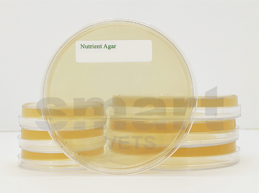 [AG/NA/22/01] Nutrient Agar 10 plates