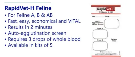 [WD0167] RapidVet-H Feline (5)