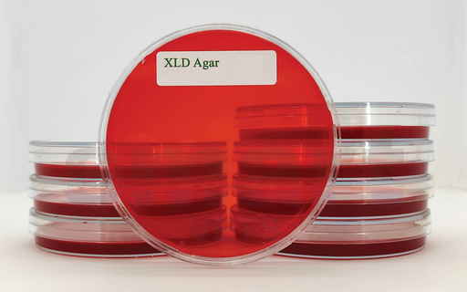 [AG/XLD/22/01] XLD(Xylose lysine desoxycholate) agar (10 plates)