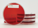 [10029] Macconkey Agar 20 plates 90mm