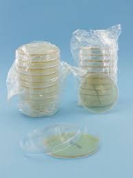 [10033] Cetrimide Agar 20 plates 90 mm